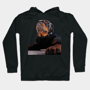 A Magnificent Male Rottweiler Dog Photograph Cut Out Hoodie